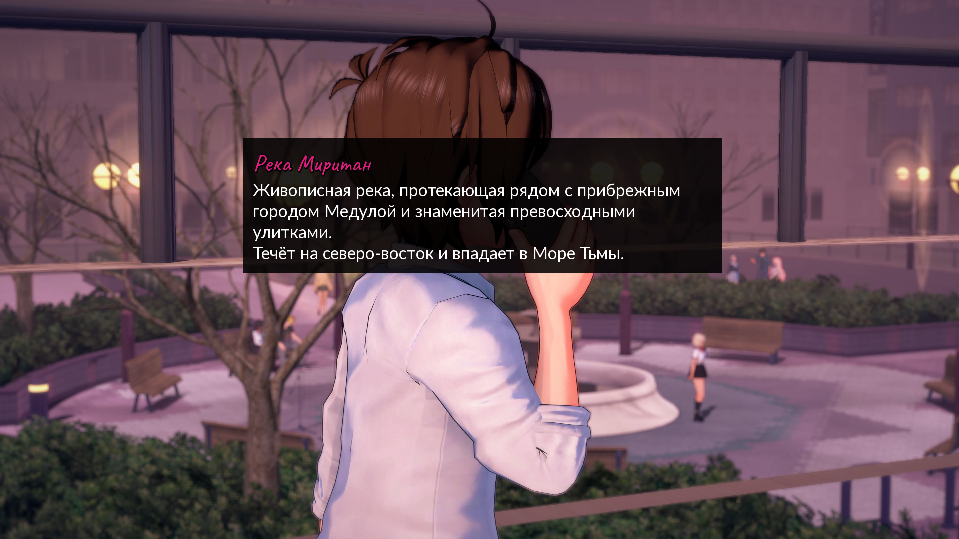 Кодекс мира Медулы в Succubus Kingdom